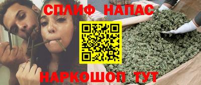 Альфа ПВП Краснознаменск