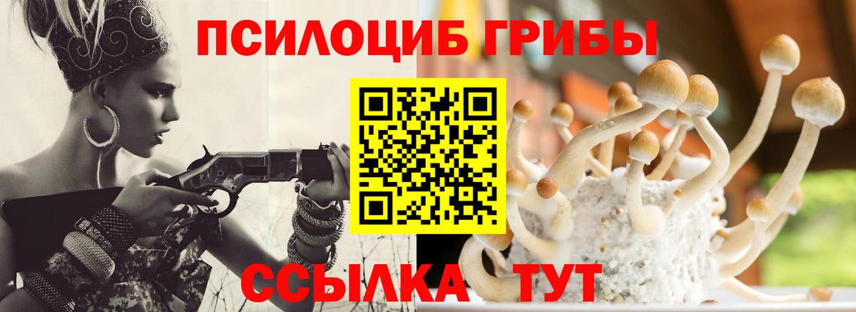 Псилоцибиновые грибы Cubensis  Псилоцибиновые грибы прущие грибы  Чебоксары  Вход с VPN 